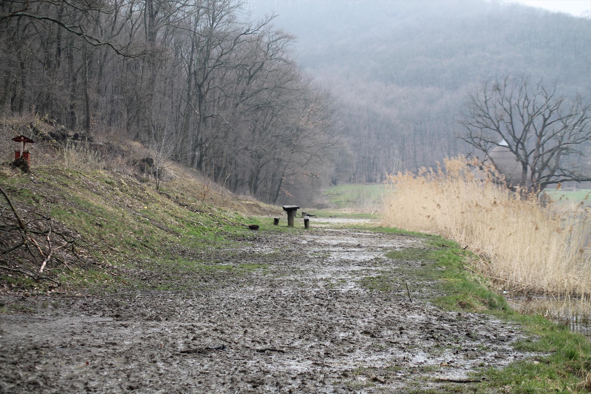 Peisaje... - harsany-aprilie2013-2261.JPG